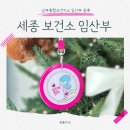 남부통합보건지소 | 세종 보건소 남부통합보건지소 임산부 뱃지 발급 철분제 코레일 맘편한 KTX 등록