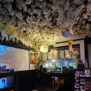 애월사랑 | 제주 애월혼술바l 지브리 감성 가득한 이자카야 [제주시애월읍916] 후기