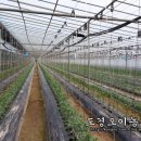 여난농장 이미지