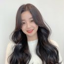 이정헤어사랑