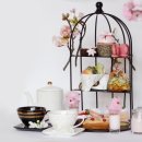 에프터눈 이미지