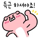 밥스짐 이미지