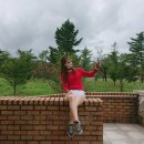 경동대 가는길 이미지