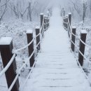 영남카정비 이미지