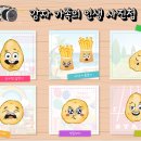 (주)키즈팡팡 이미지