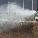 천안메추리농장 이미지