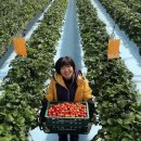 이규태농장 이미지