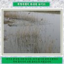 매향주유소 이미지