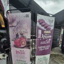 장호진논산찰고구마빵 | 논산 연산 딸기모찌 맛집 장호진논산찰고구마빵 본점 방문후기