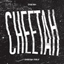 치타(CHEETAH) 이미지