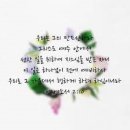 바라안 이미지