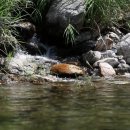 상류펜션 이미지