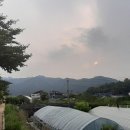 박재현 컨설팅 행정사사무소 네이버블로그