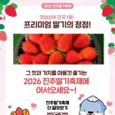 진서중학교 | 🍓 봄향기 가득한 진주딸기축제 다녀온 후기 (체험·먹거리에 수곡딸기밭까지 완벽!)