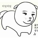 사라 양한방 동물병원 이미지