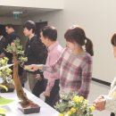 동안구청-1 이미지