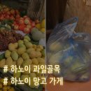 골목과일 | 하노이 여행, 호안끼엠 근처 과일가게 골목, 망고 구입 후기 (ft.잭푸르트)