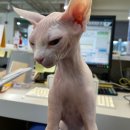 베테랑P&K 이미지