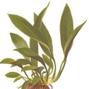 (주)후경 이미지