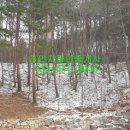 왕산리마을회관 이미지