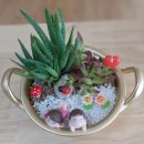 성거초등학교 병설유치원 이미지