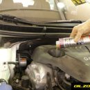 뉴오일존 이미지