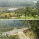 봉촌주유소 이미지