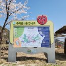 주치골이야기 이미지