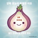 (6월) 당뇨병 건강교실 『영양』 | 🧅 양파 효능-고지혈증, 고혈압, 당뇨에 도움이 되는 이유