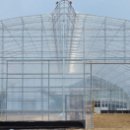 팜스마트 이미지