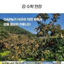 청도오일