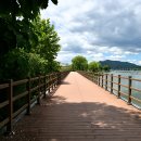 중앙탑길 이미지