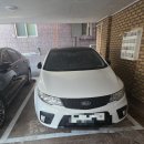 금일카센타 | 중고차 성능보증 보험 후기 (1)