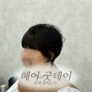 굿데이헤어 - 전주시 완산구 | 울산 야음동 여자 숏컷 잘하는 미용실 헤어굿데이