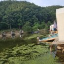 천평낚시터 이미지