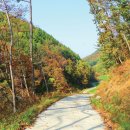 인제자연학교 캠핑장 이미지