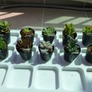 여수자동차검사소 이미지