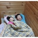 시월드비젼