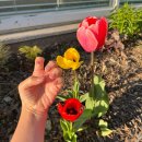 연수초등학교 | [충주 네일 맛집] 가성비 네일아트 핑크네일 솔직후기