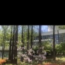 (주)코람데오 네이버블로그