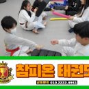 참피온 태권도장 이미지