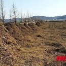 티젠 녹차공장 이미지