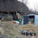 방목내 이미지