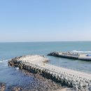 송정동 해안도로 이미지