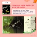 누리알찬 네이버블로그
