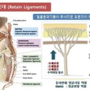 예하에스테틱