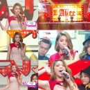 돌고래노래뱅크 TV리포트