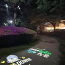 몽땅 포레스트 이미지