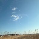 한국돈영농조합법인 | 충남 청양 알프스마을(영농조합)한국에서 즐기를 미니 빙등제, 얼음 눈꽃축제 입장료 정보