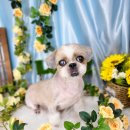 도꾸살롱 이미지